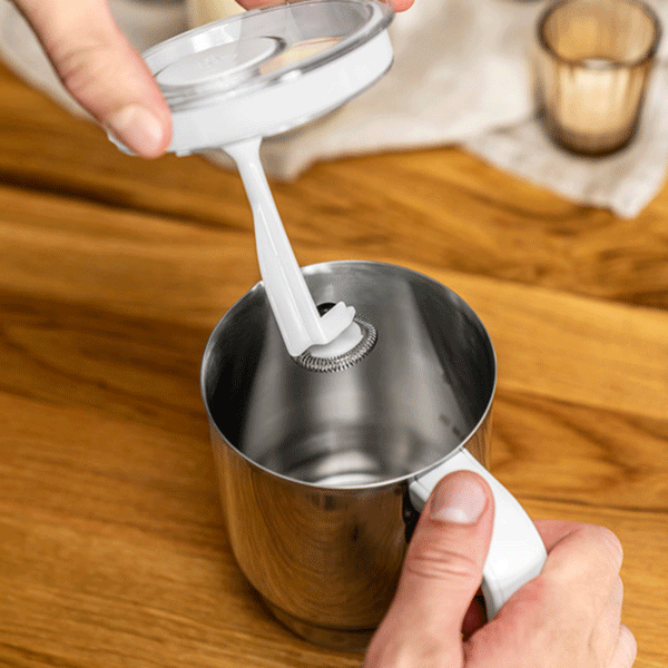  Aerolatte Professional Milk Foamer with Counter Stand, The  Original Steam-Free Frother, 18/8 Stainless Steel: Electric Milk Frothers:  Home & Kitchen