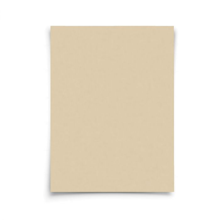 Beyond Gourmet Unbleached Pre-Cut Parchment Paper Sheets, Set