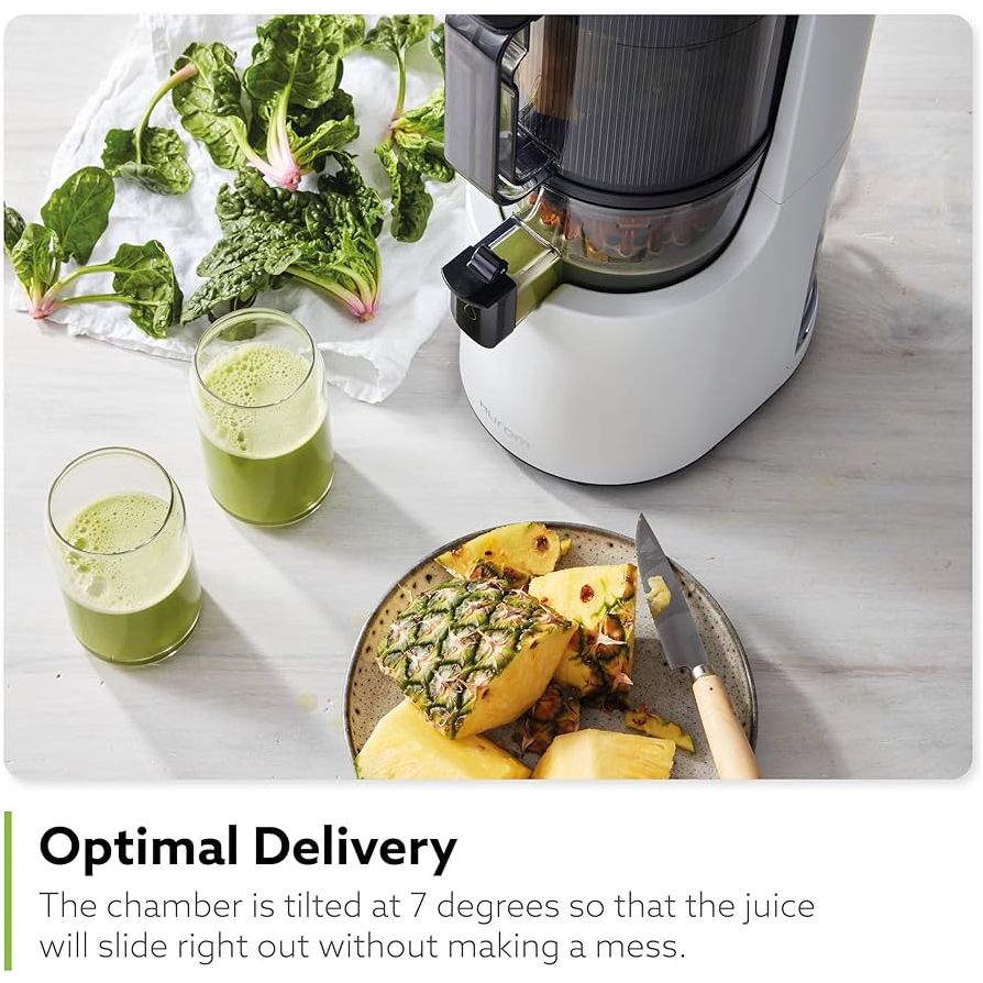 Hurom H200 Easy Clean Slow Juicer | Two for the Pot – Tarzian West