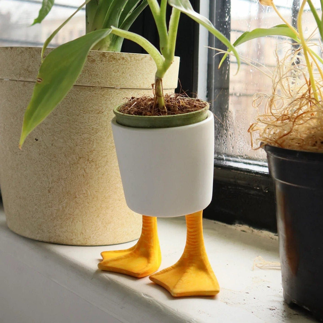 Small Duck Feet Planter
